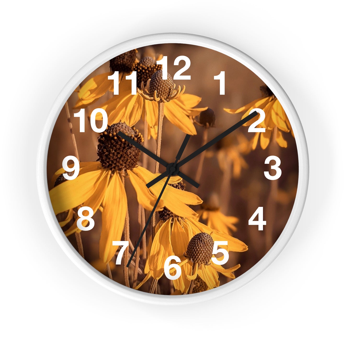 Coneflower Clock (SP Photography Collection)