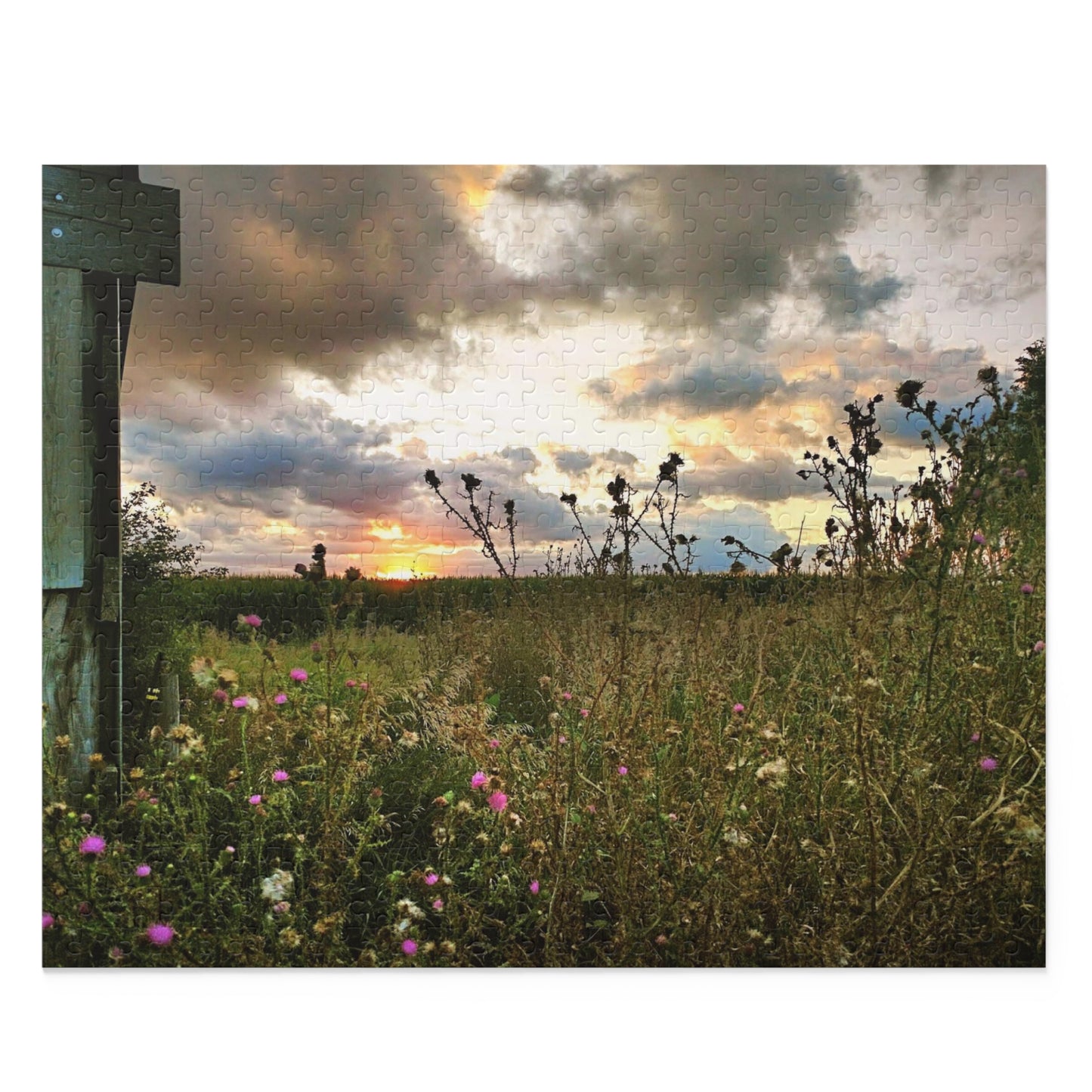 Cloudy Field Puzzle (SP Photography Collection 120, 252, 500-Piece)