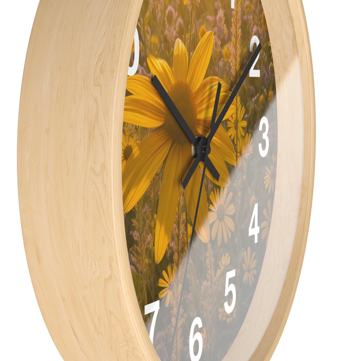 Narrow leaf Clock (SP Photography Collection)
