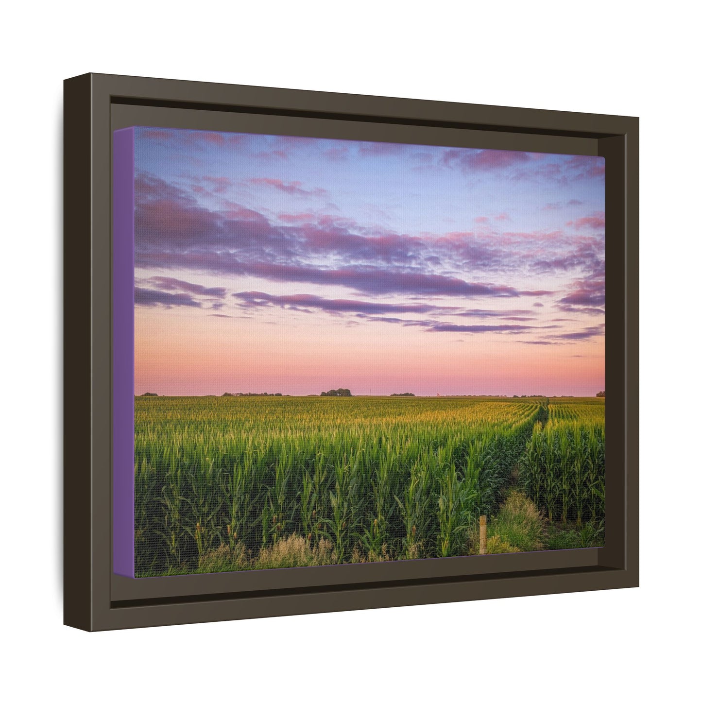Corn Field Sunset Matte Canvas, Framed (Multi-color) (SP Photography Collection)
