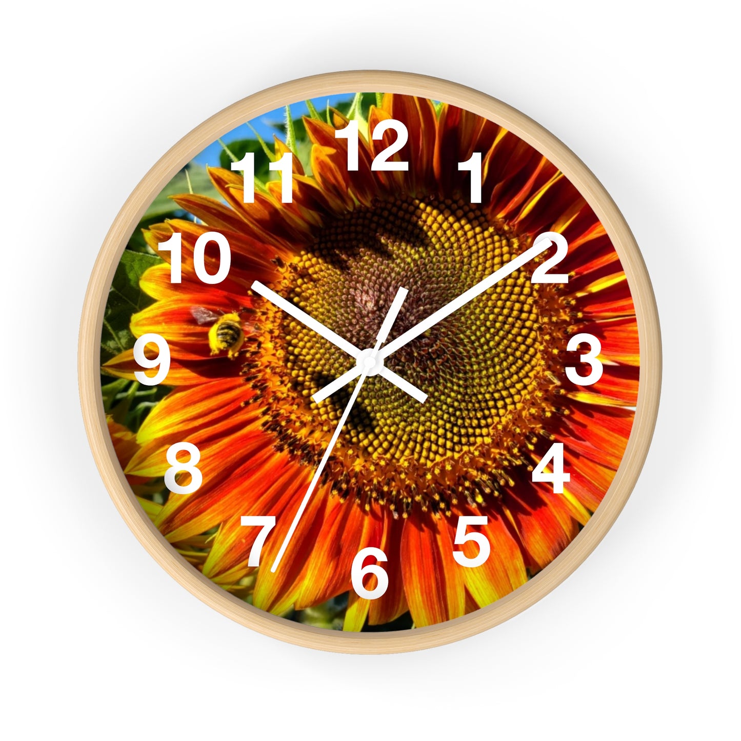 Bumble Bee Sunflower Wall Clock (Enchanted Exposures By Tammy Lyne)