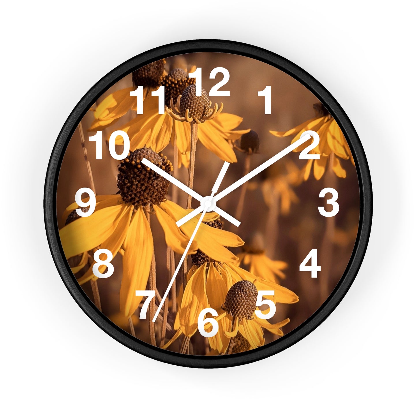 Coneflower Clock (SP Photography Collection)
