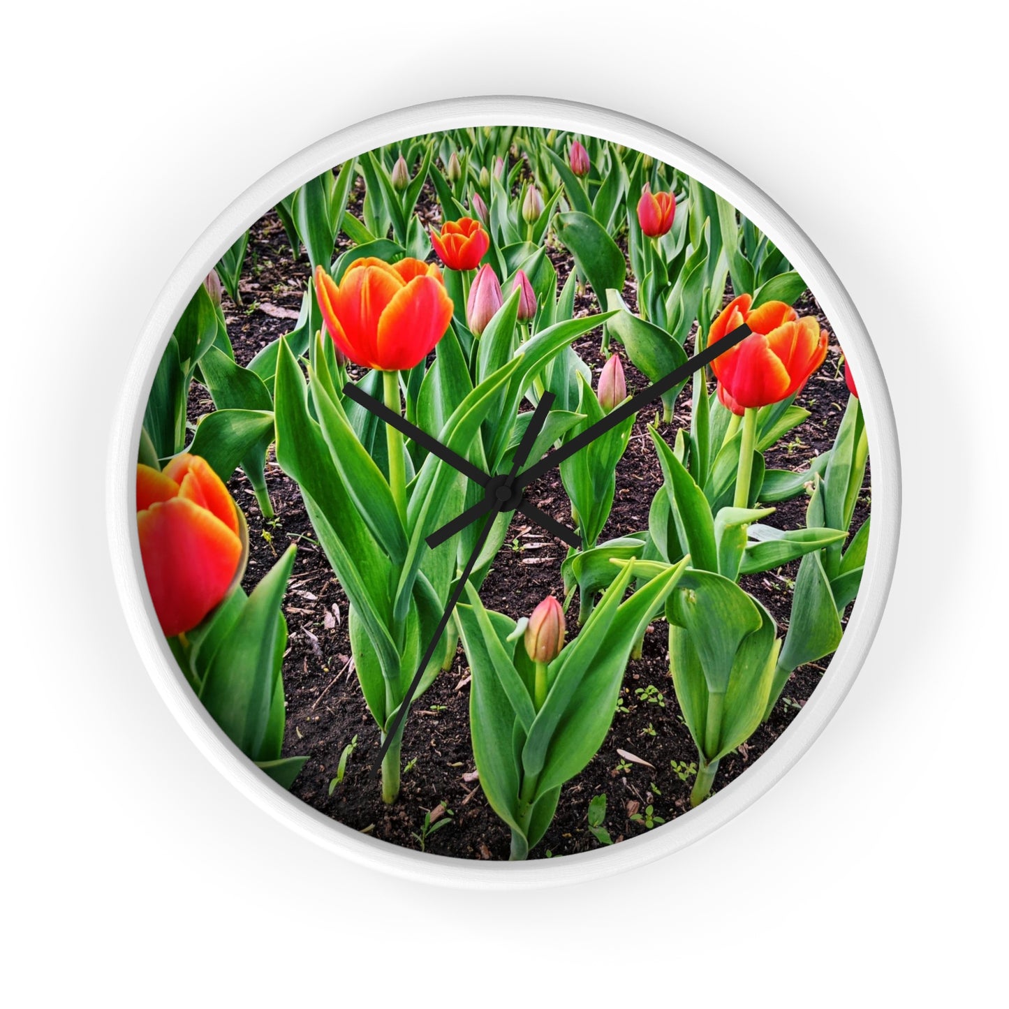Red Tulips Wall Clock (SP Photography Collection)