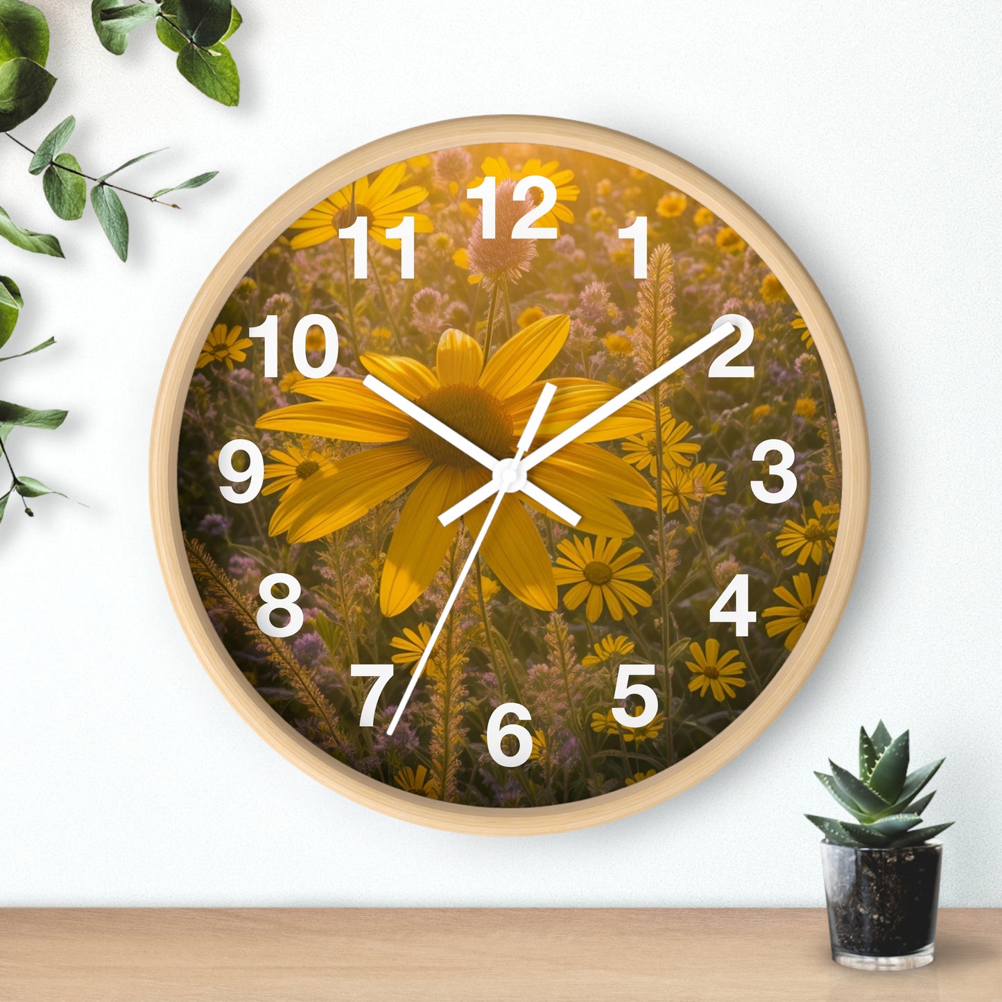 Narrow leaf Clock (SP Photography Collection)