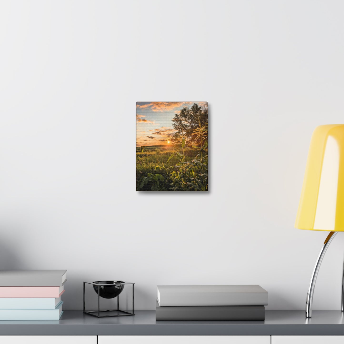 Corn Sunset Stretched Canvas (SP Photography Collection)