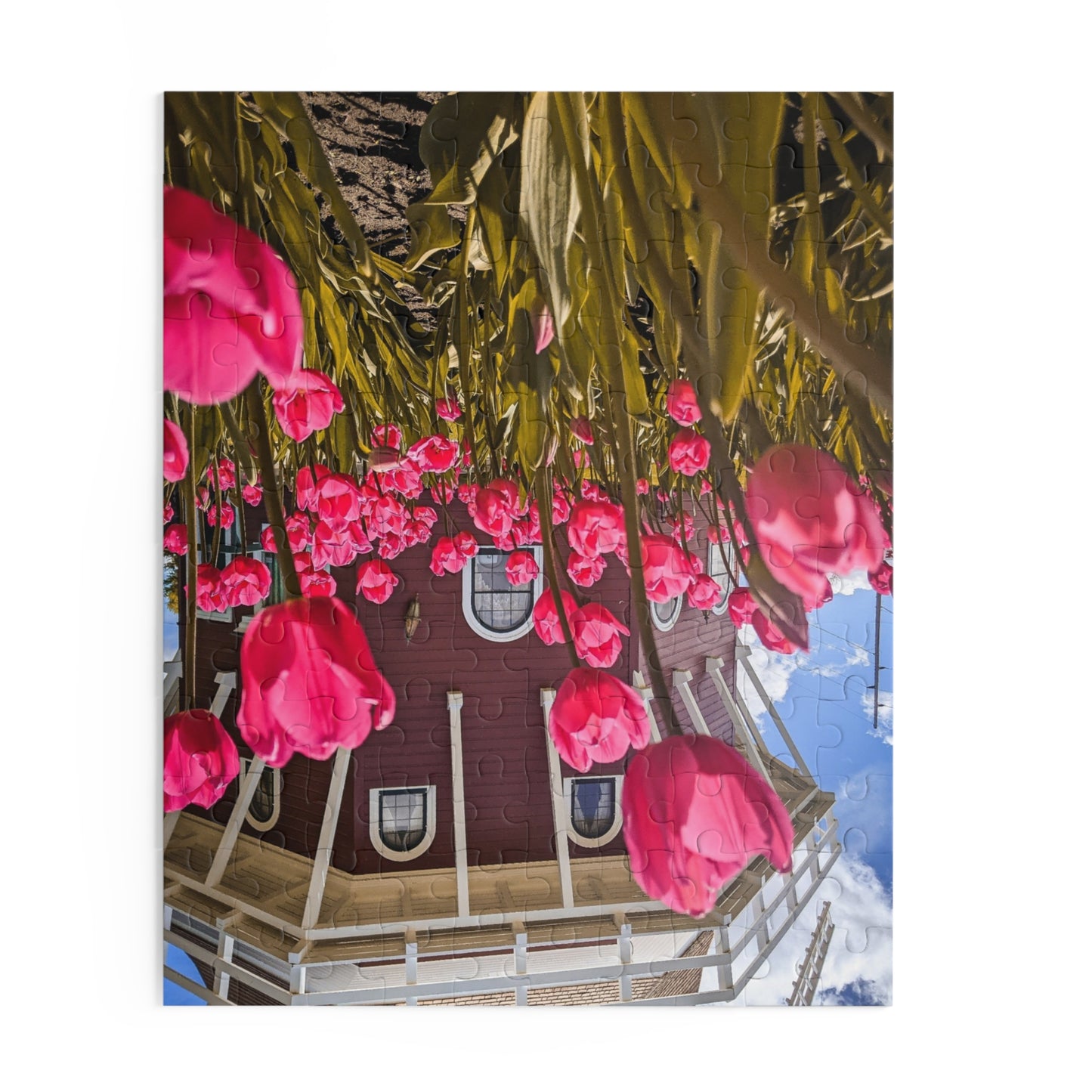 Windmill Pink Tulips Puzzle (SP Photography Collection) (120, 252, 500-Piece)