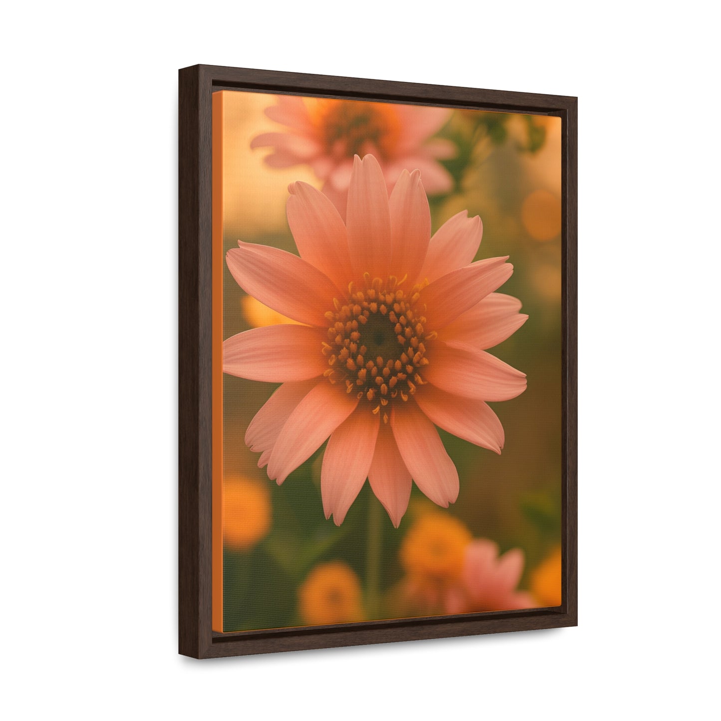 Peach Daisy Canvas Wraps, Vertical Frame (SP Photography Collection)