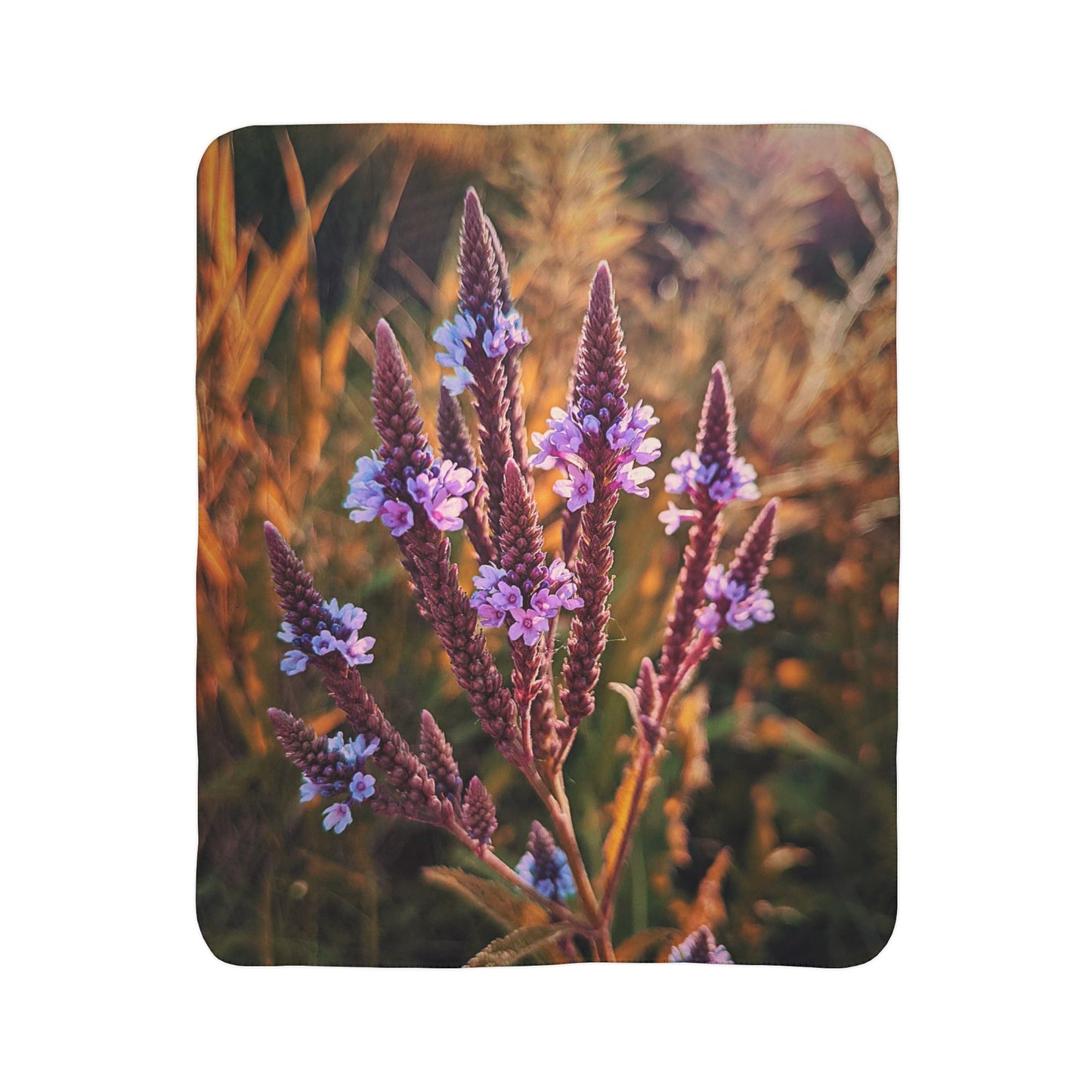 Purple Field Fleece Sherpa Blanket (SP Photography Collection)
