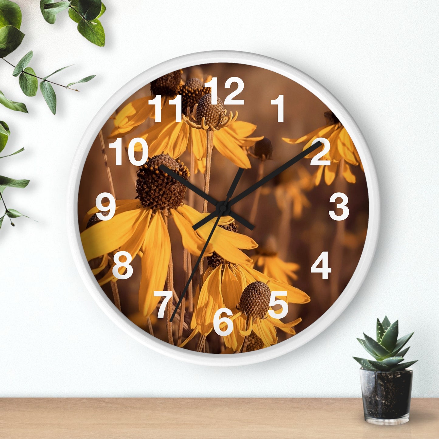 Coneflower Clock (SP Photography Collection)