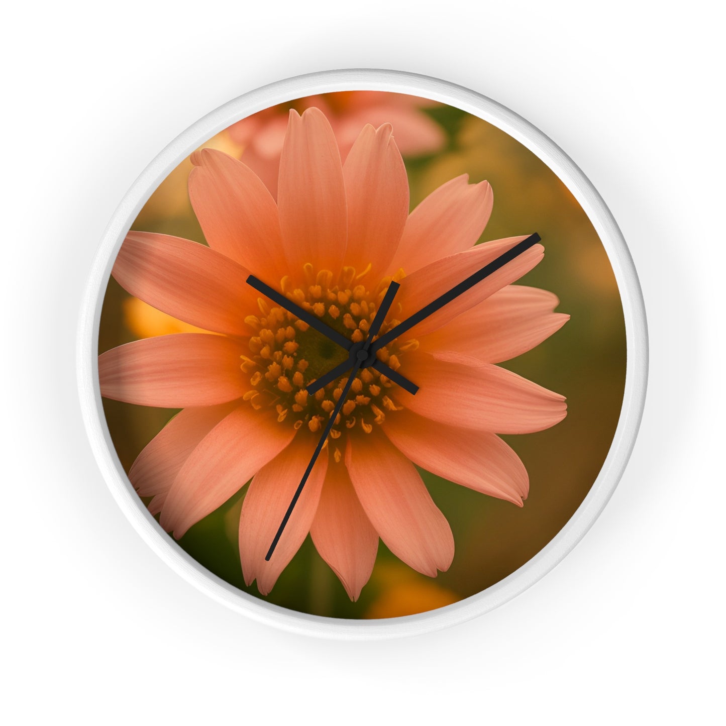 Peach Daisy Wall Clock (SP Photography Collection)