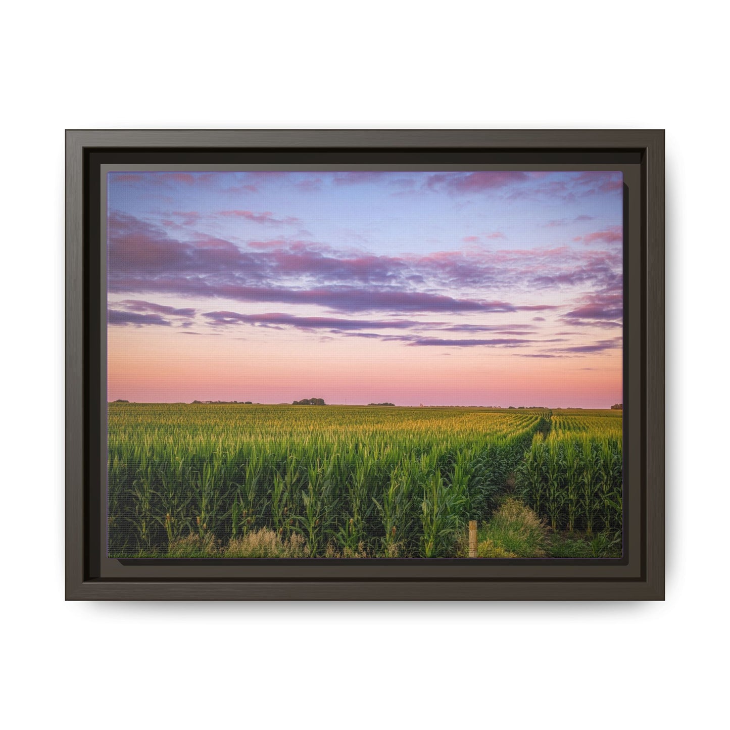 Corn Field Sunset Matte Canvas, Framed (Multi-color) (SP Photography Collection)