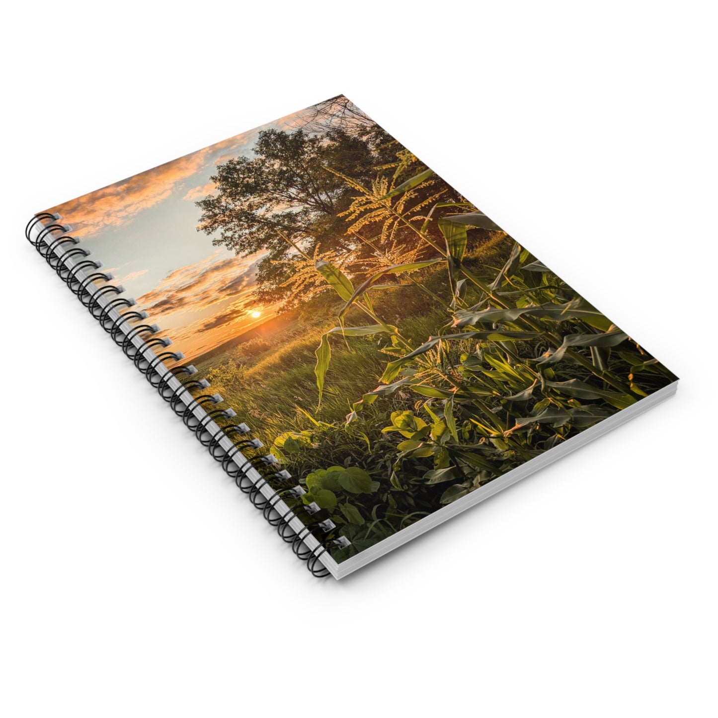 Corn Sunset Notebook (SP Photography Collection)