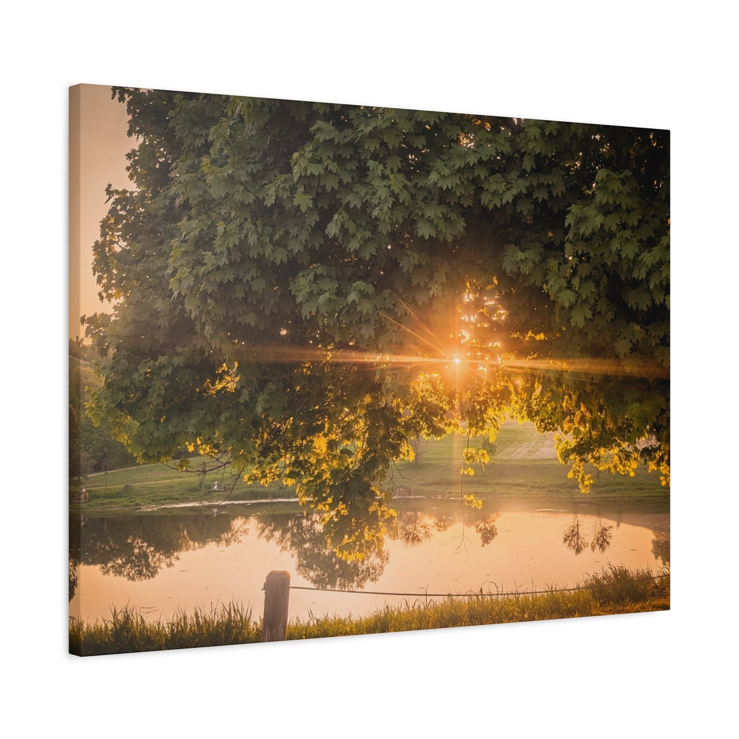 Sunset Pond Matte Canvas, Stretched, 1.25" (SP Photography Collection) 32" X 24"