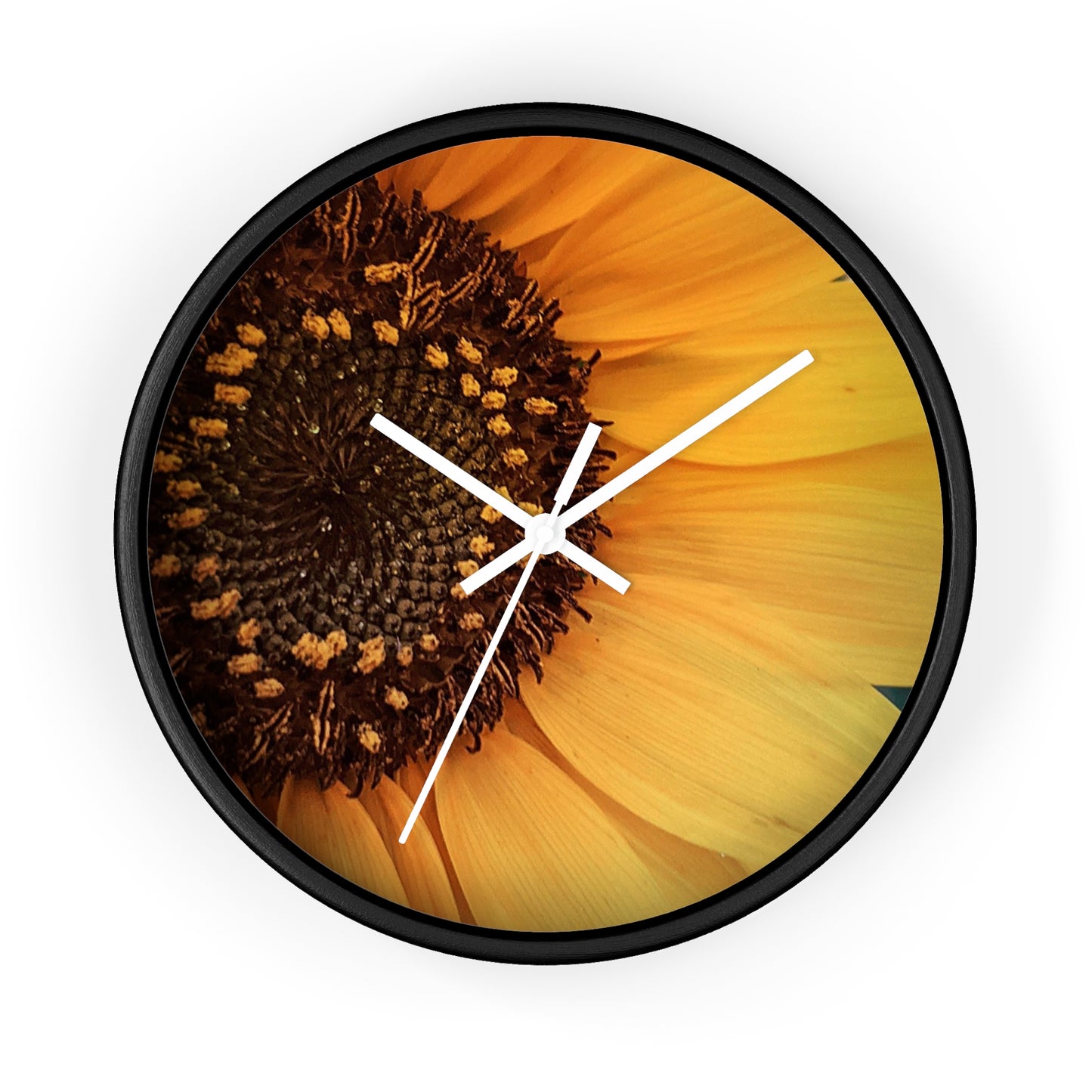 Sun Ray Sunflower Wall Clock (SP Photography Collection)