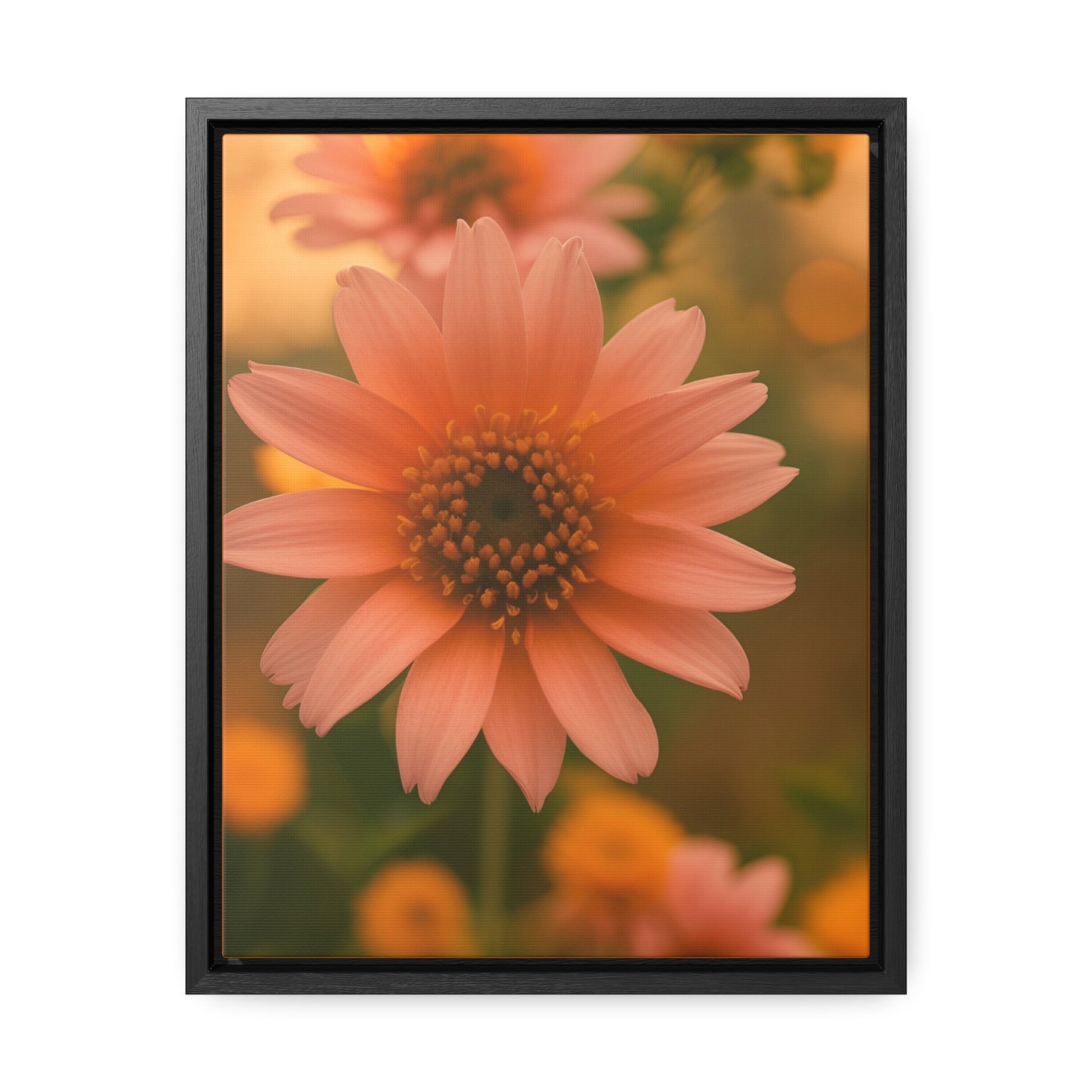 Peach Daisy Canvas Wraps, Vertical Frame (SP Photography Collection)