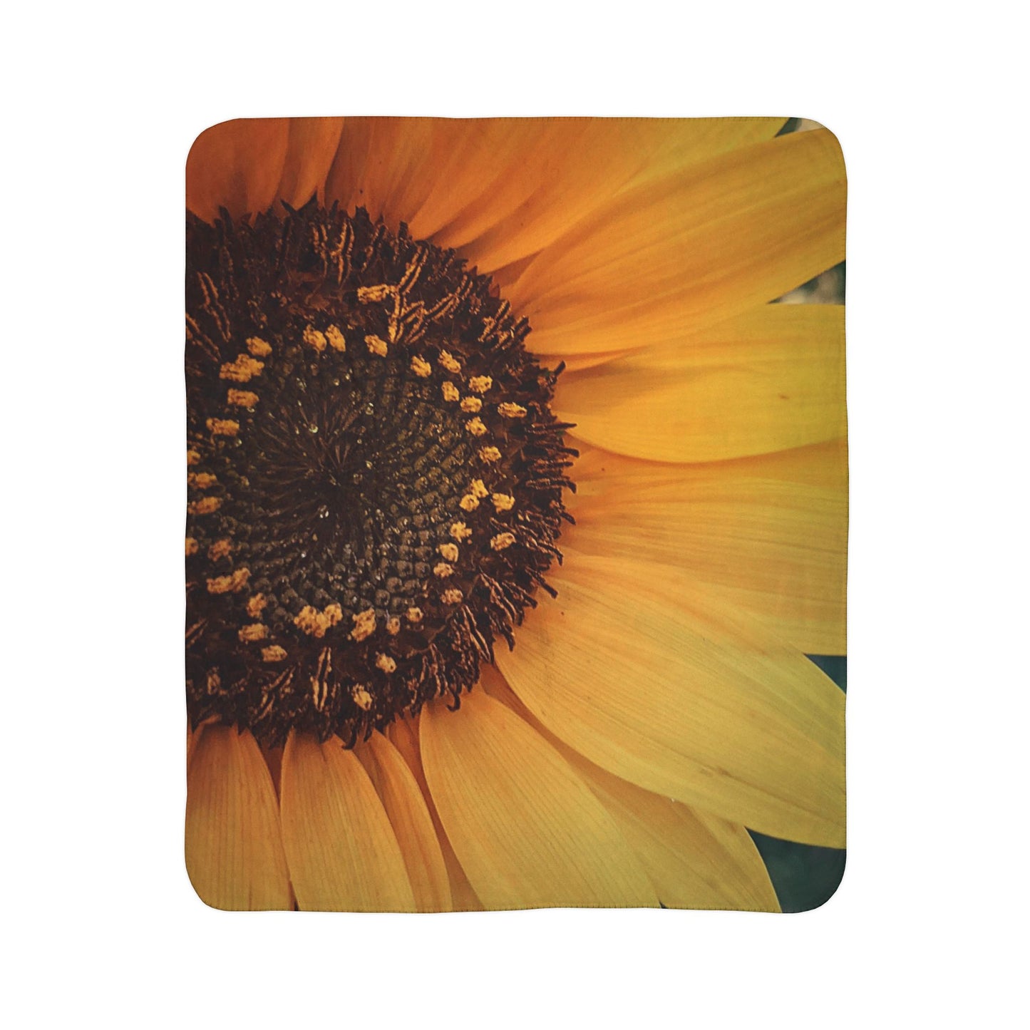 Sun Ray Sunflower Fleece Sherpa Blanket (SP Photography Collection)