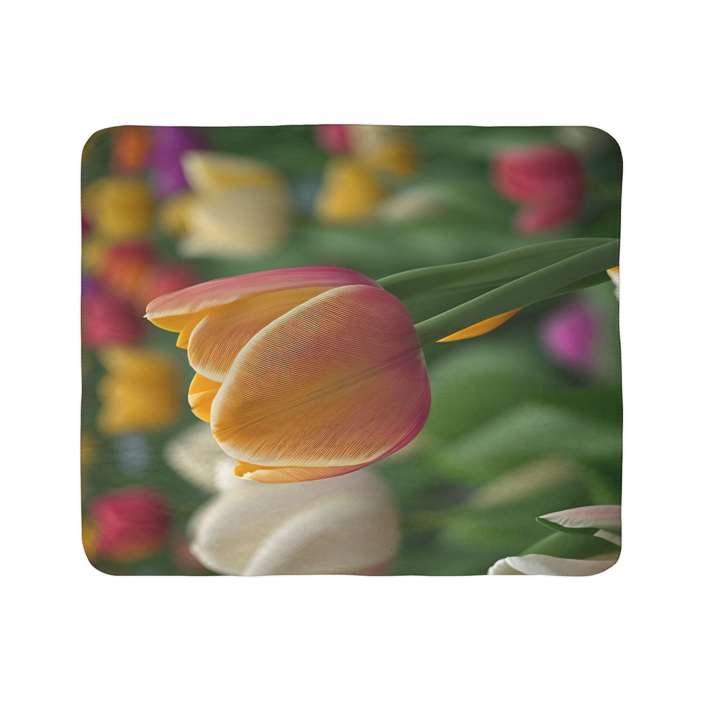 Orange Tulip Fleece Sherpa Blanket (SP Photography Collection)