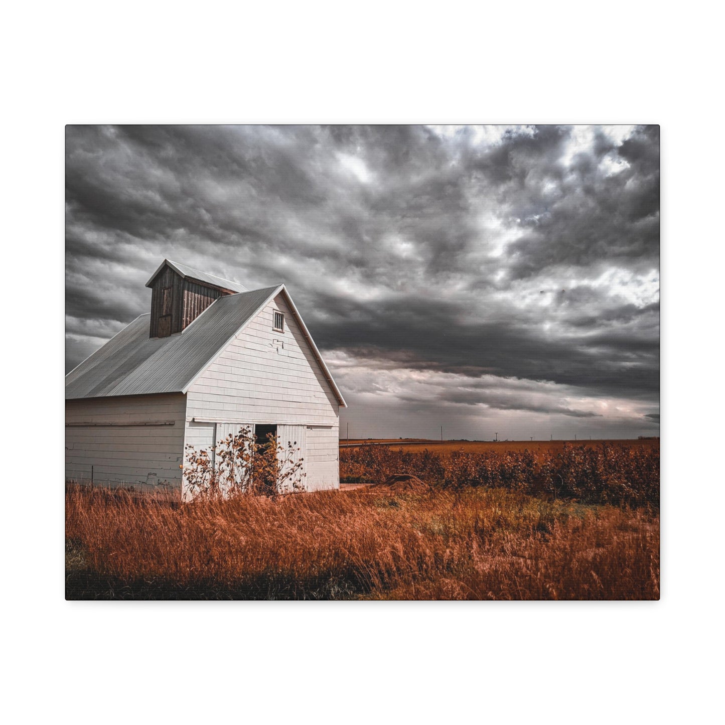 Field Barn Wrap Canvas (SP Photography Collection)