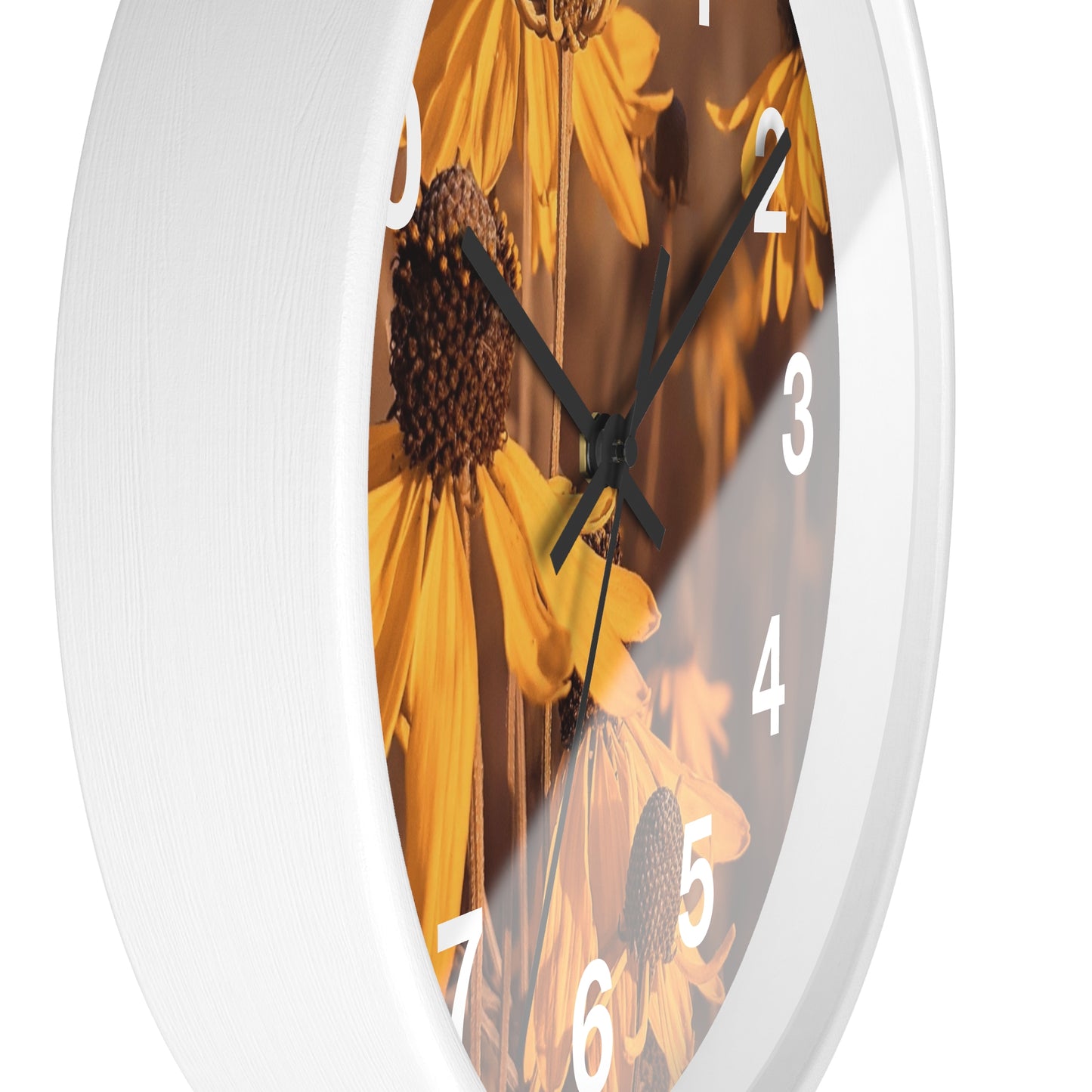Coneflower Clock (SP Photography Collection)
