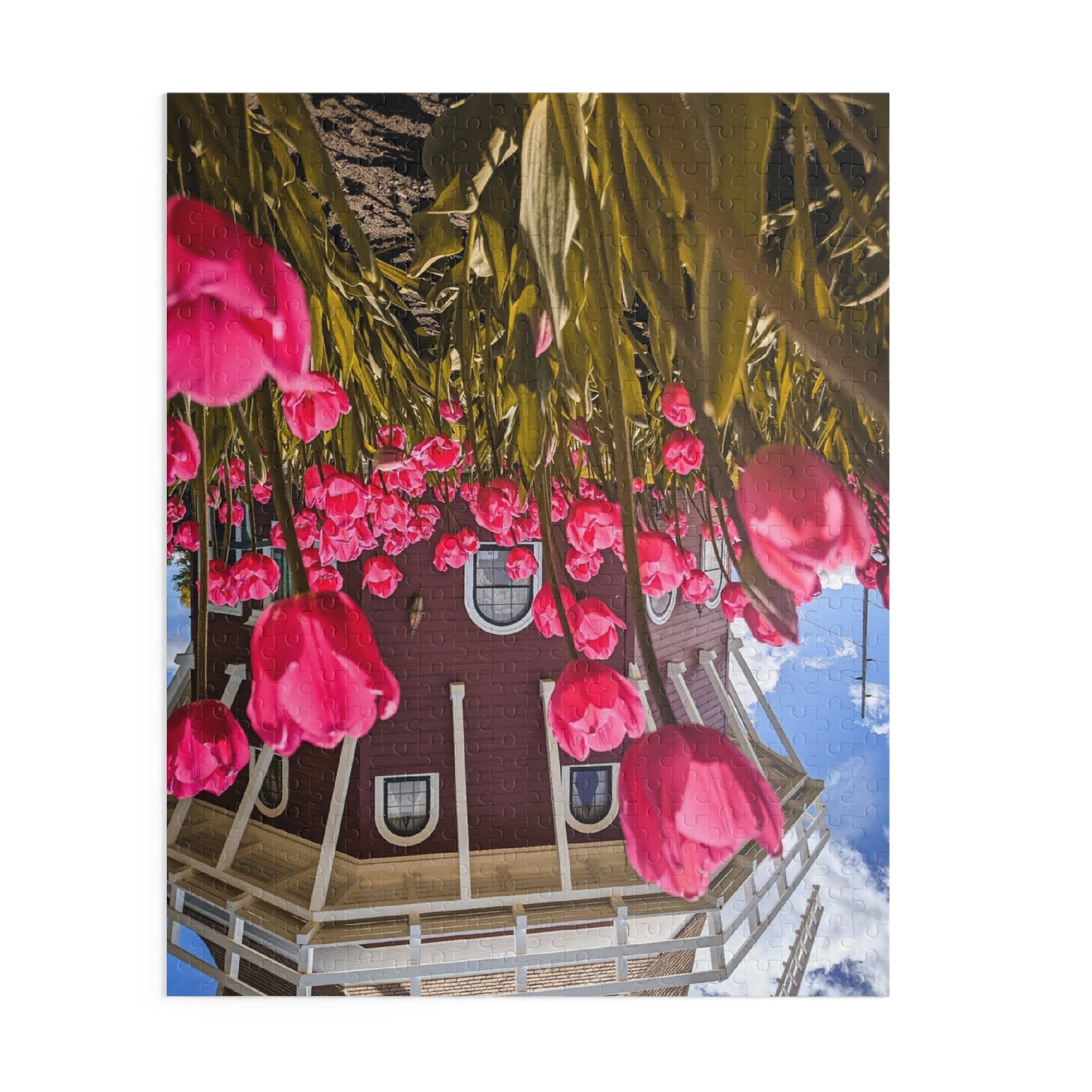 Windmill Pink Tulips Puzzle (SP Photography Collection) (120, 252, 500-Piece)