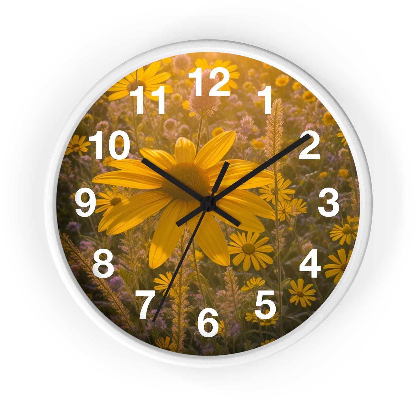 Narrow leaf Clock (SP Photography Collection)