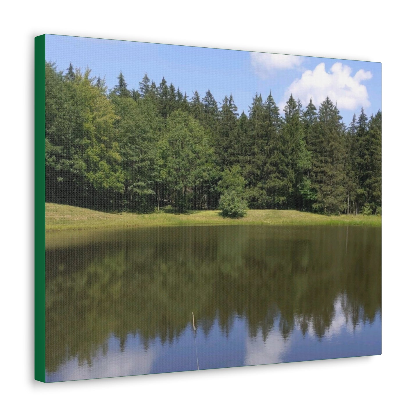Reflection Wrap Canvas (B & J Collectons) GREEN