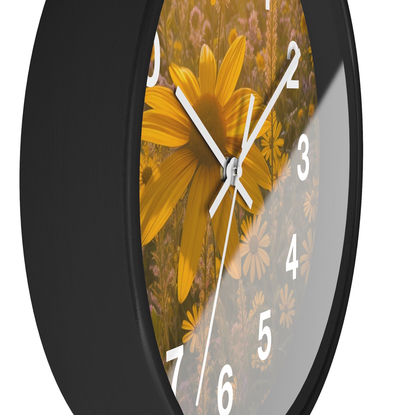 Narrow leaf Clock (SP Photography Collection)