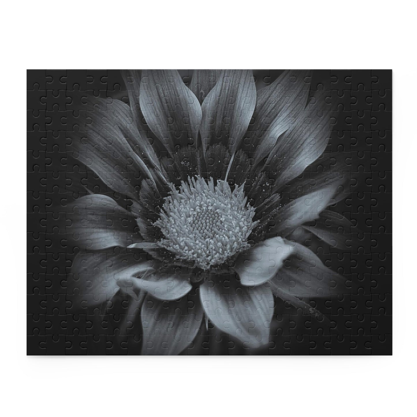Midnight Bloom Puzzle (SP Photography Collection 120, 252, 500-Piece)