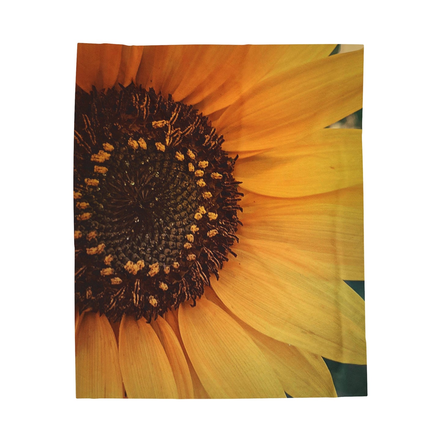Sun Ray Sunflower Plush Blanket (SP Photography Collection)
