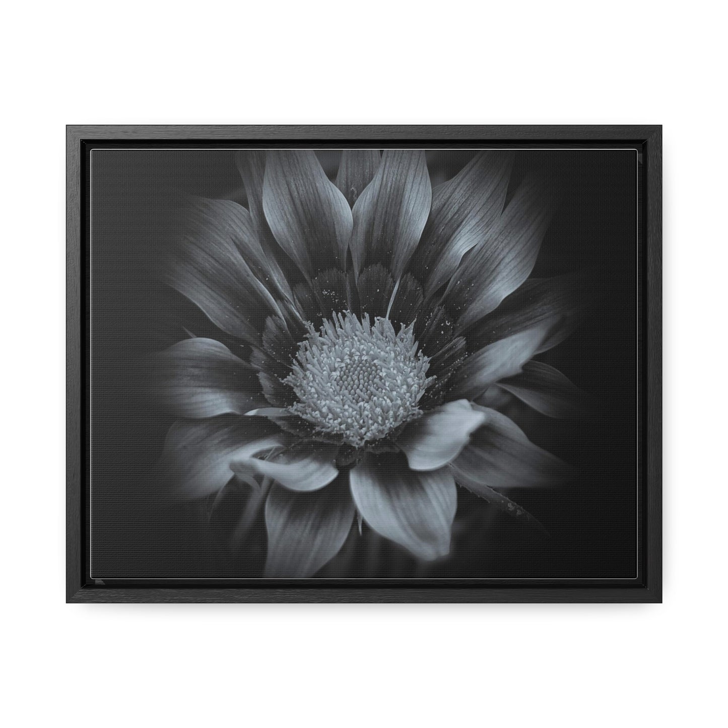 Midnight Bloom Horizontal Frame (SP Photography Collection)