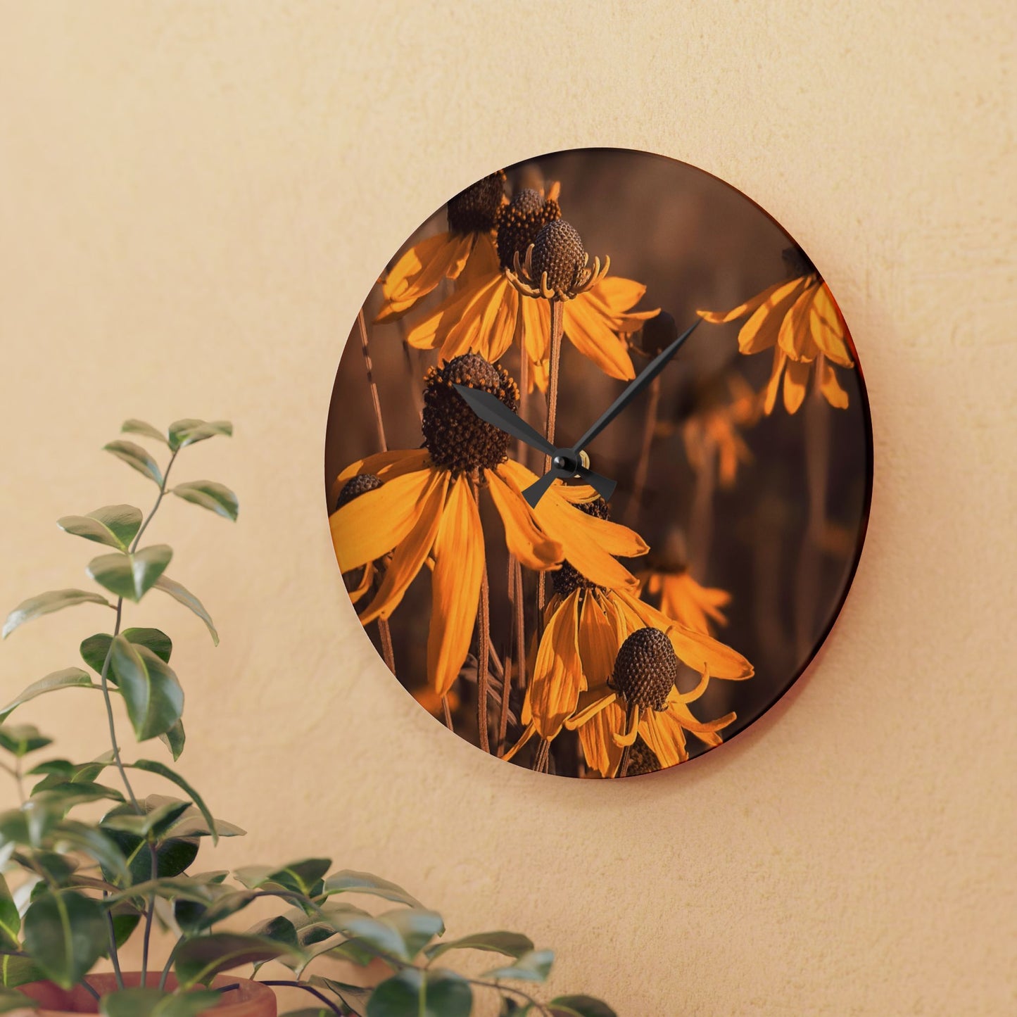 Coneflower Wall Clock (SP Photography Collection)