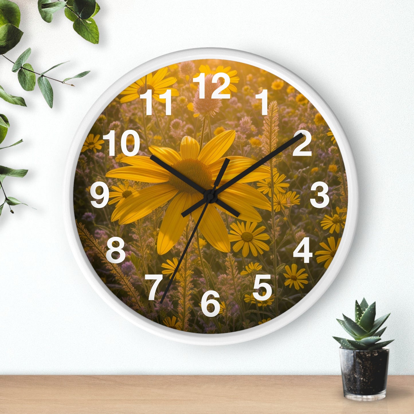 Narrow leaf Clock (SP Photography Collection)