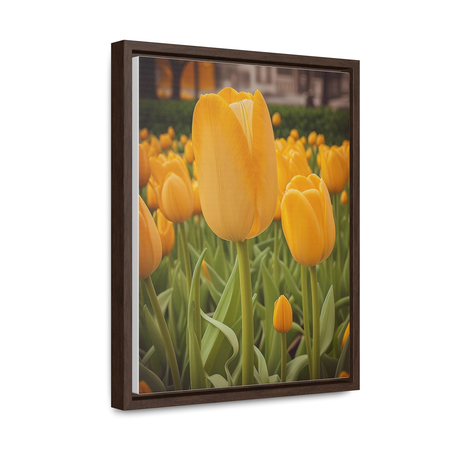 Yellow Tulip Canvas Wraps, Vertical Frame (SP Photography Collection)