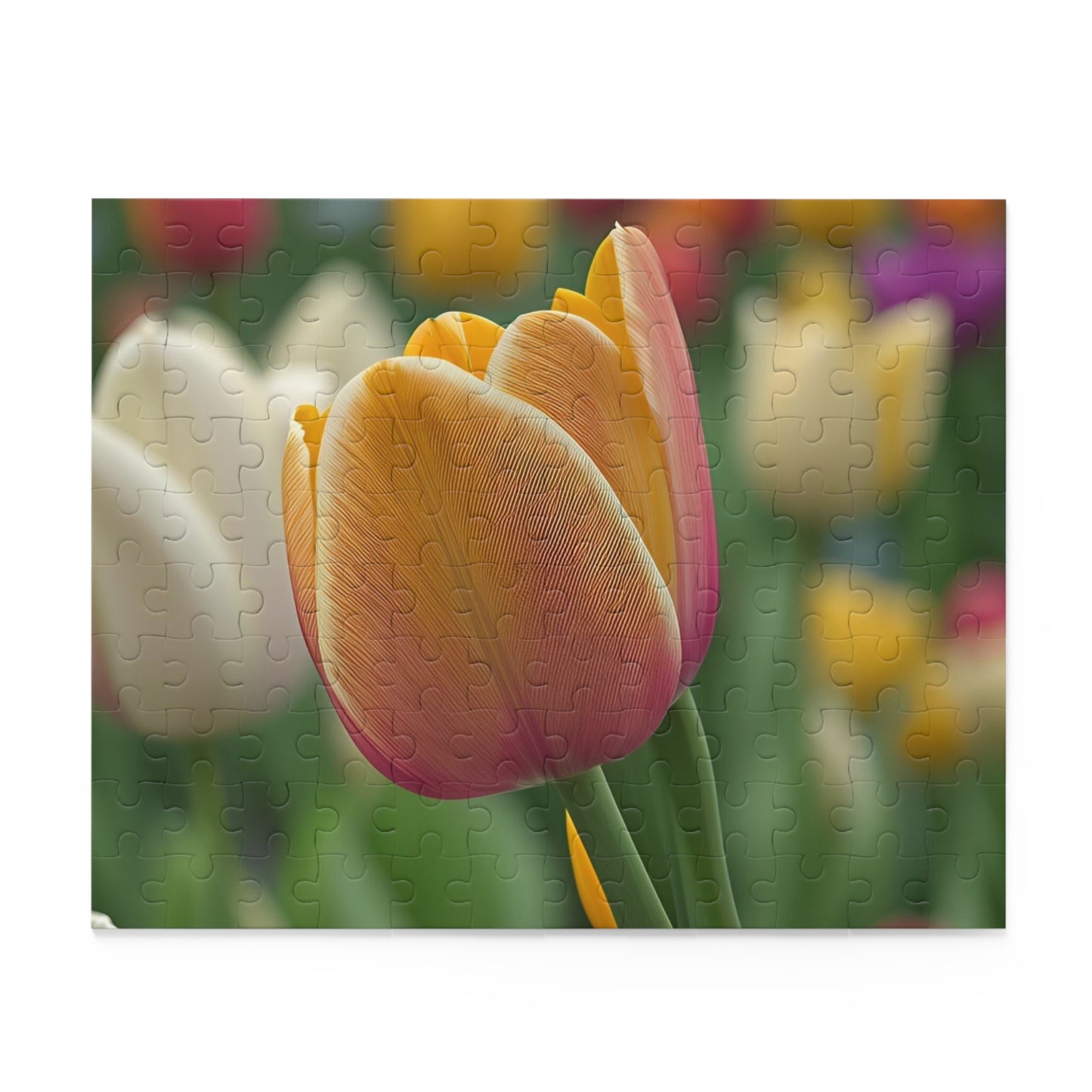 Orange Tulip Puzzle (SP Photography Collection 120, 252, 500-Piece)