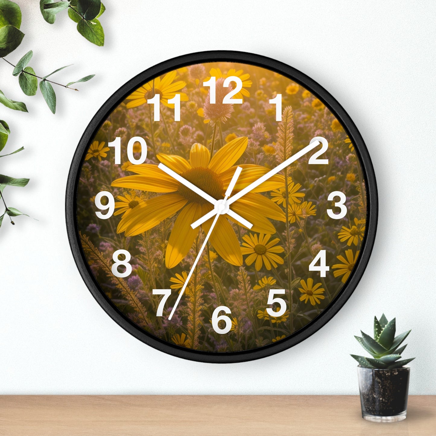 Narrow leaf Clock (SP Photography Collection)
