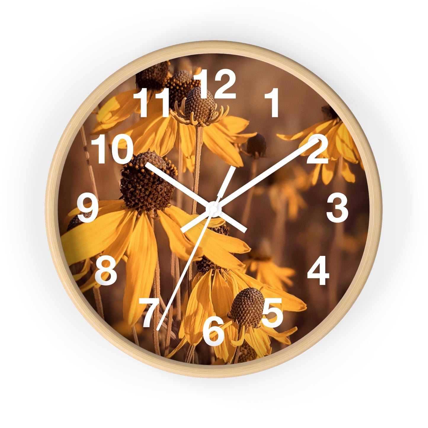 Coneflower Clock (SP Photography Collection)