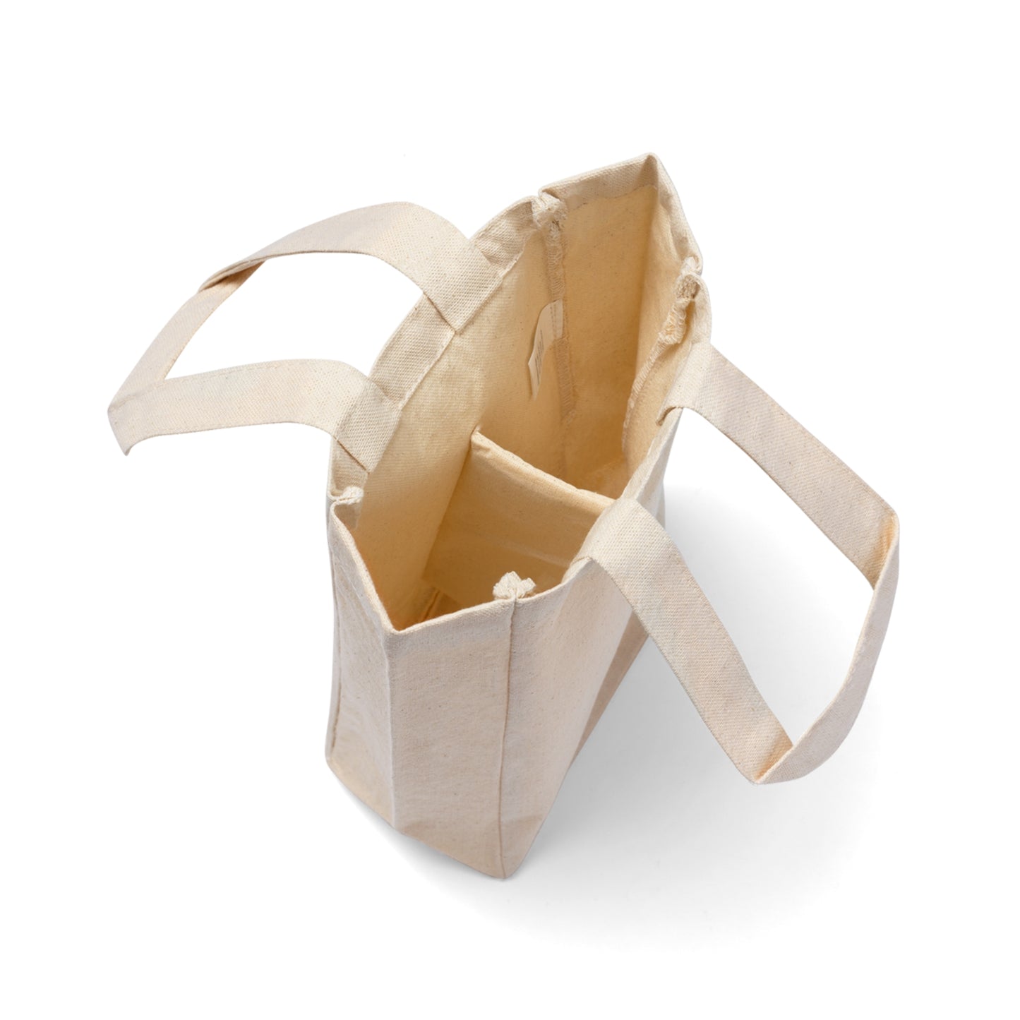 Snow Globe Double Wine Tote Bag (SP Photography Collection)