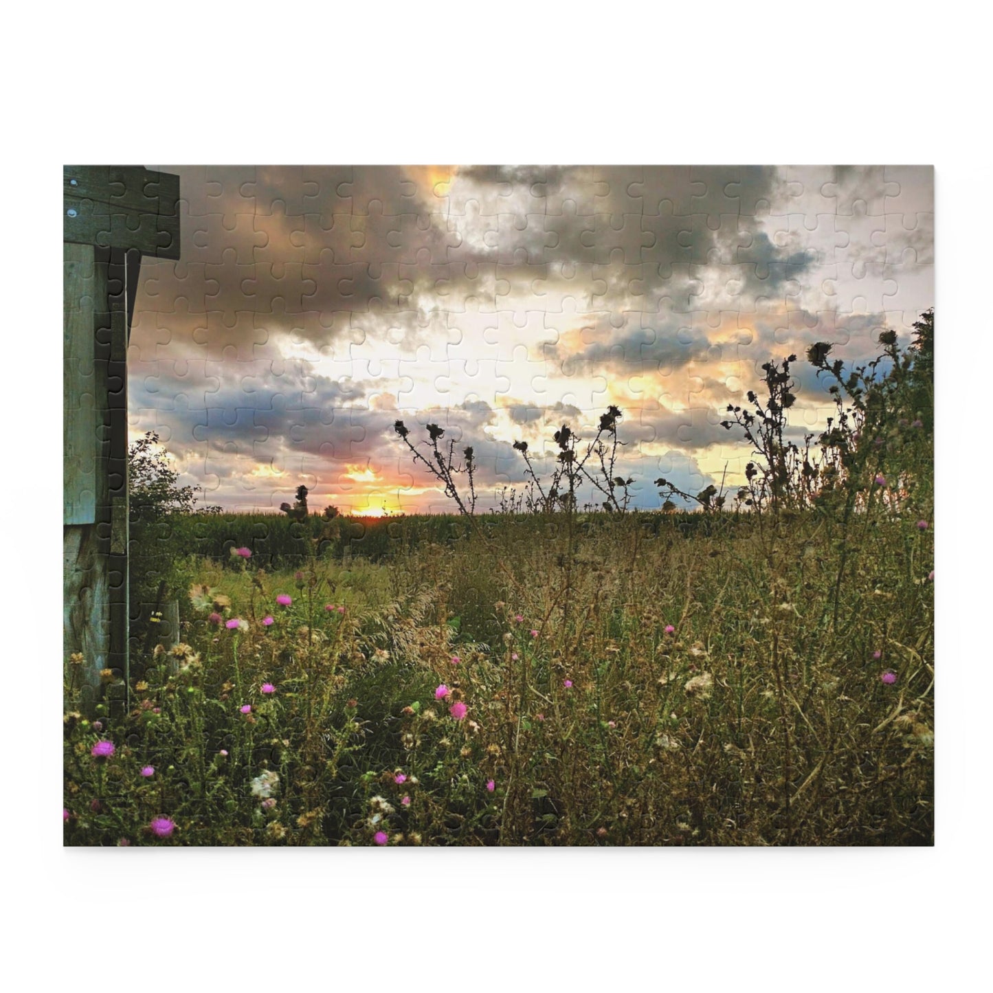 Cloudy Field Puzzle (SP Photography Collection 120, 252, 500-Piece)