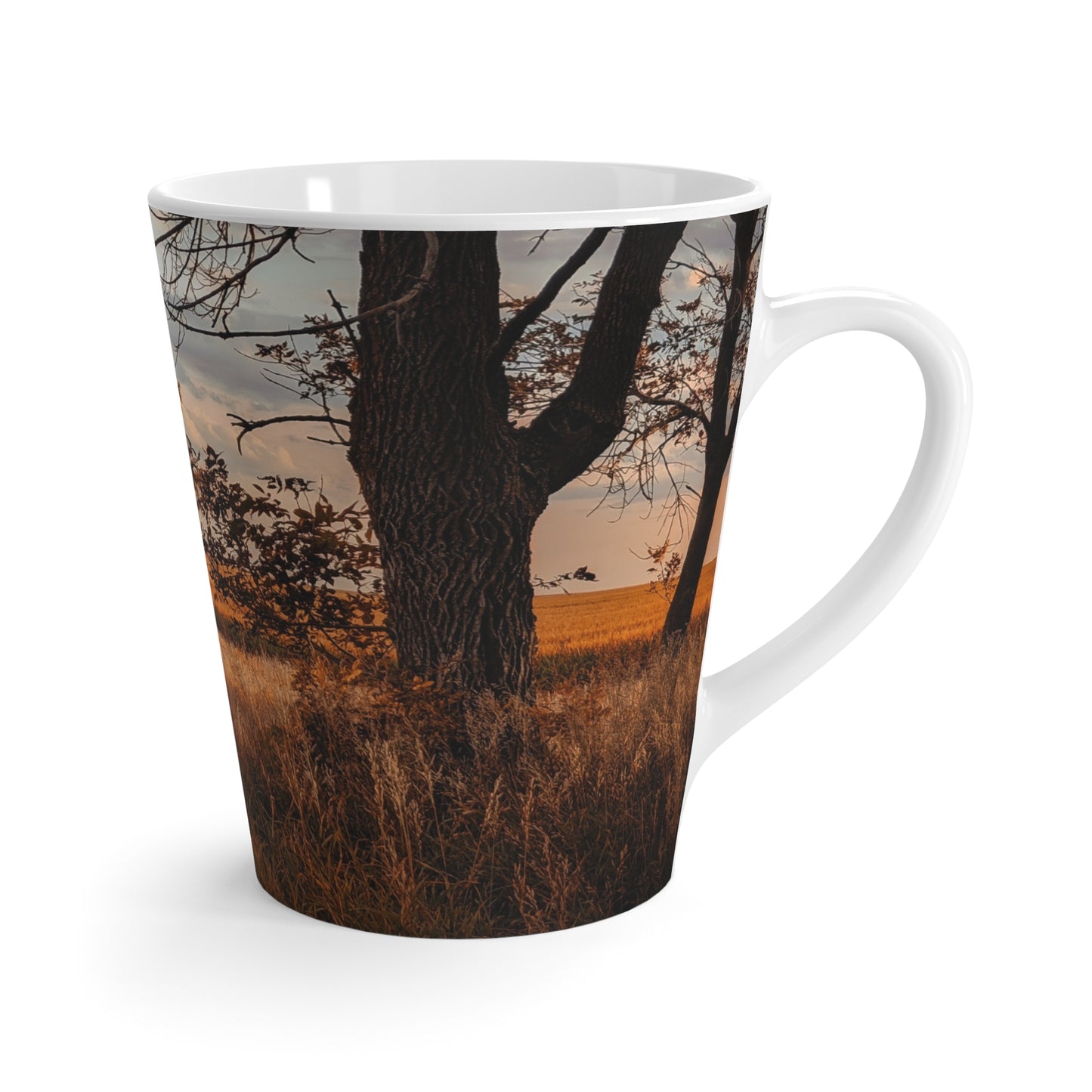 Golden Barn Latte Mug (SP Photography Collection)