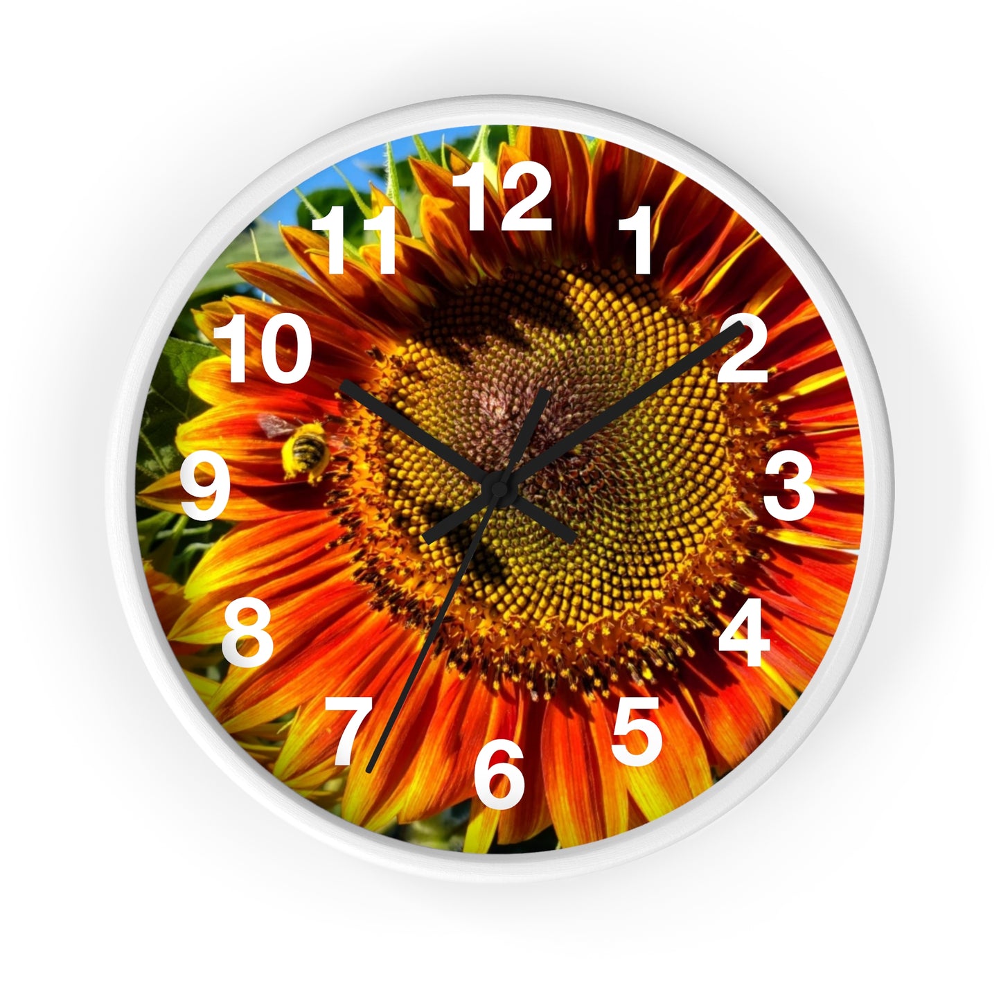 Bumble Bee Sunflower Wall Clock (Enchanted Exposures By Tammy Lyne)