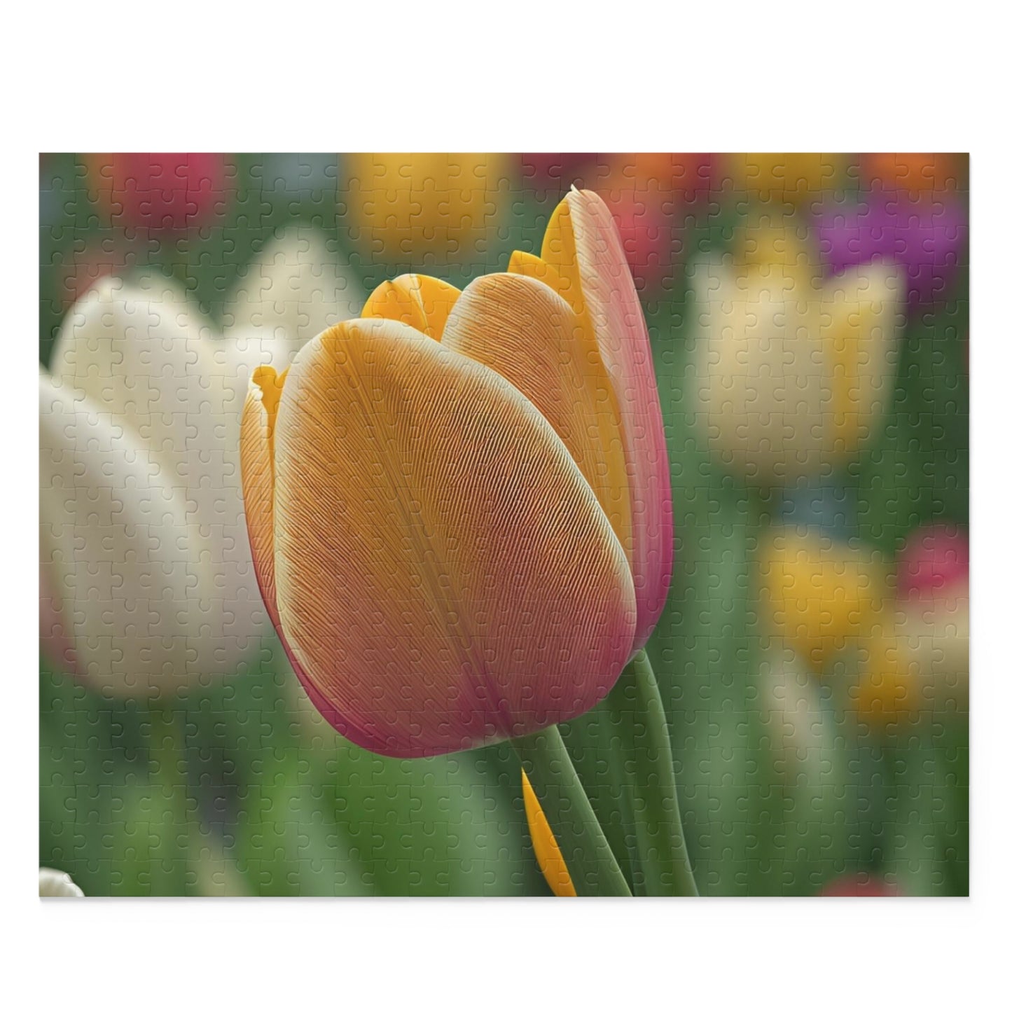 Orange Tulip Puzzle (SP Photography Collection 120, 252, 500-Piece)