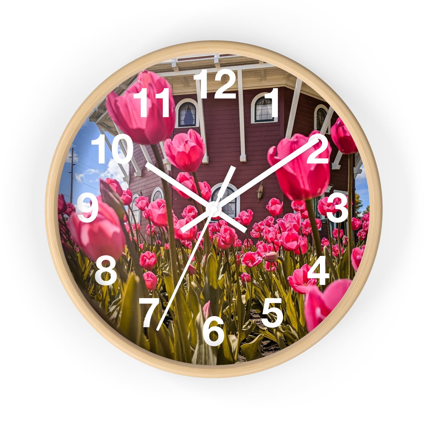 windmill Pink Tulips wall Clock (SP Photography Collection)