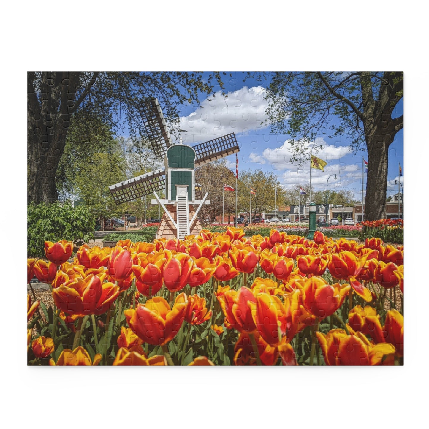 Windmill Garden Puzzle (SP Photography Collection) (120, 252, 500-Piece)