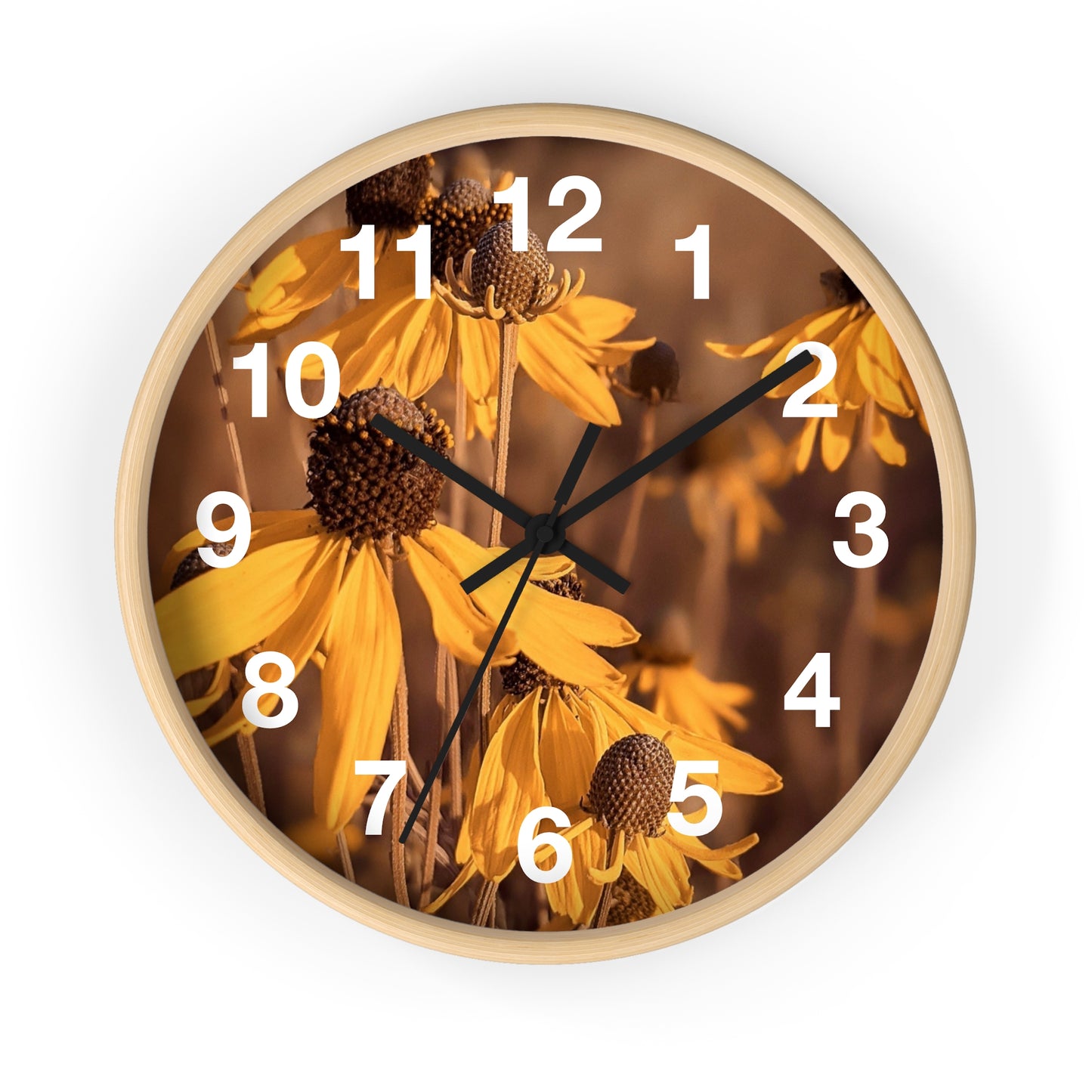 Coneflower Clock (SP Photography Collection)