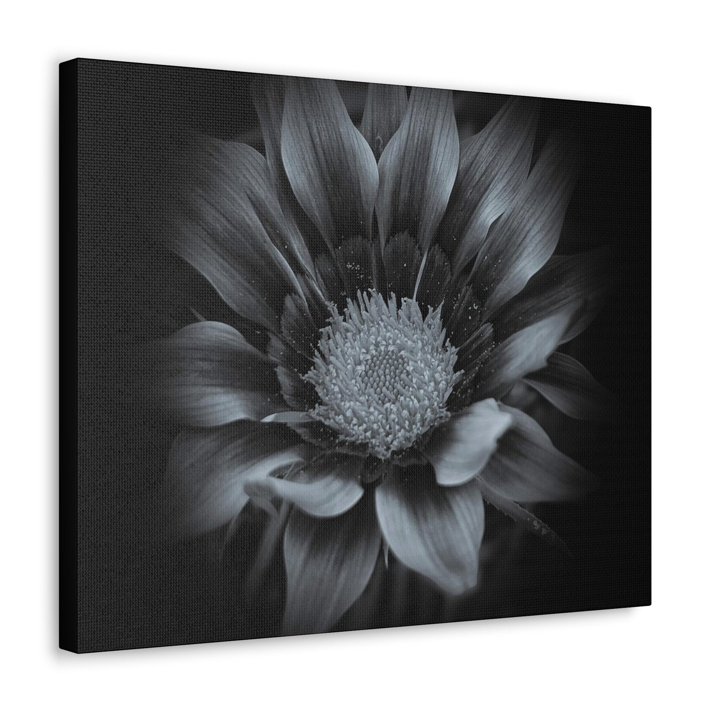 Midnight Bloom Wrap Canvas (SP Photography Collection)