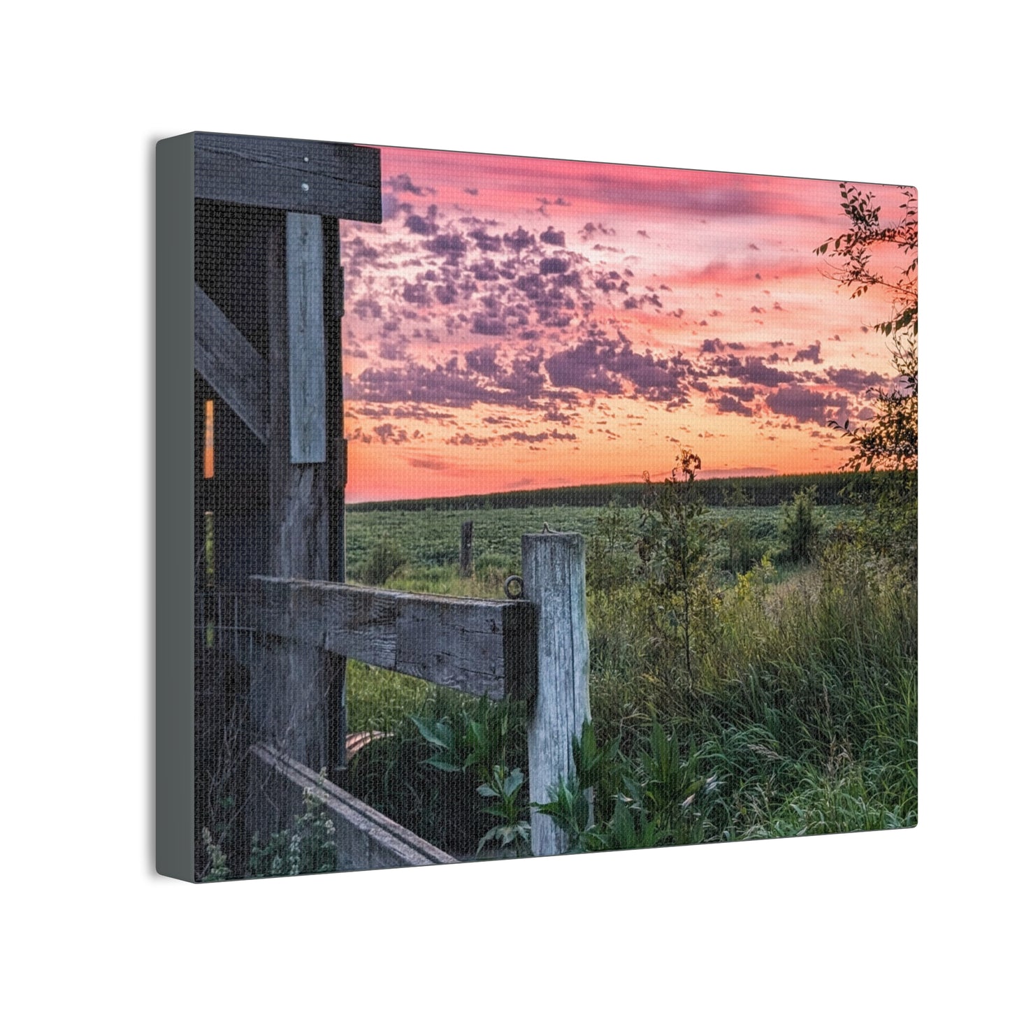 Pink Sky Canvas Stretched (SP Photography Collection)