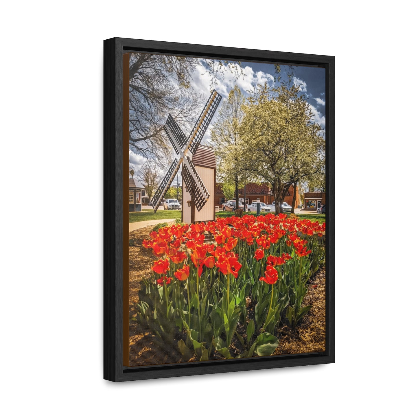 Red Windmill Tulip Canvas Wraps, Vertical Frame (SP Photography Collection)