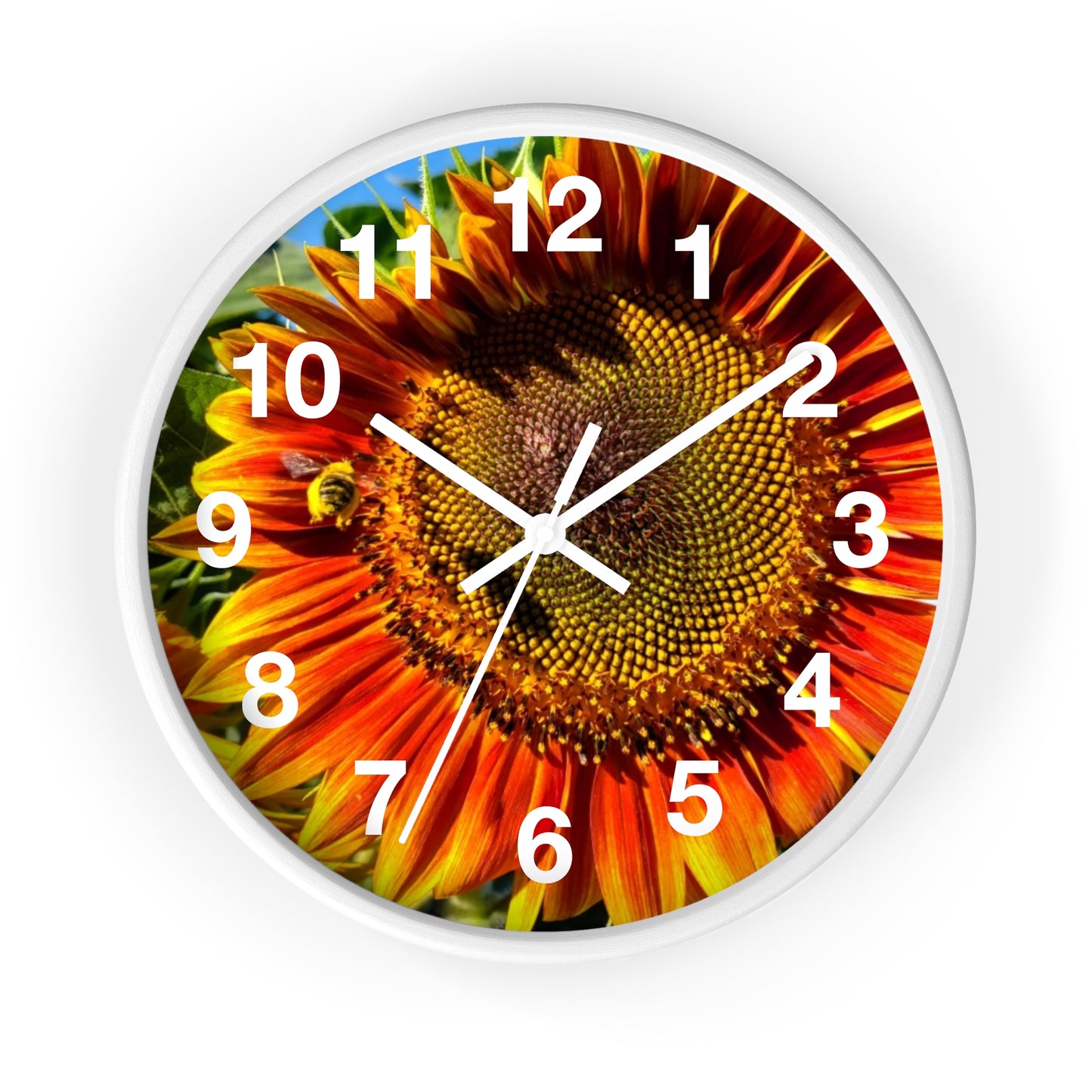 Bumble Bee Sunflower Wall Clock (Enchanted Exposures By Tammy Lyne)