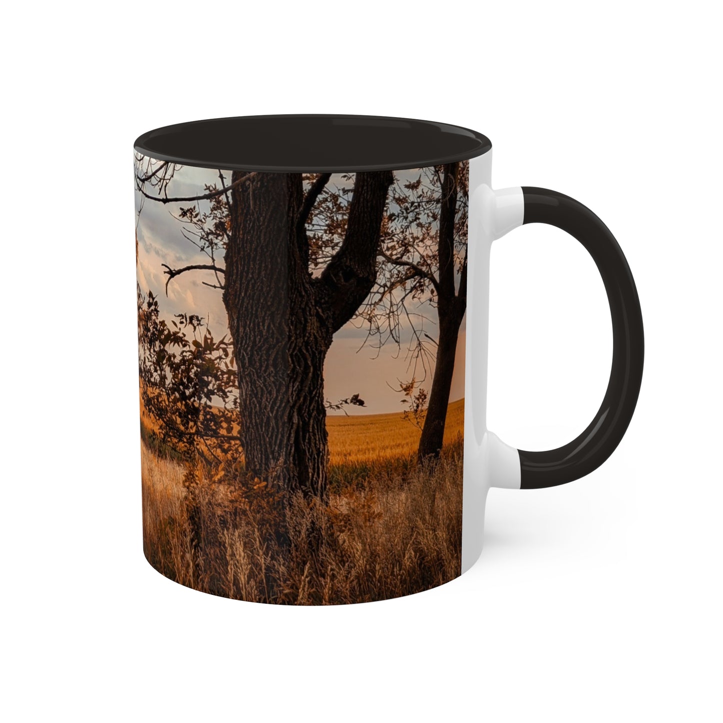 Golden Barn Mug, 11oz (SP Photography Collection) BLACK