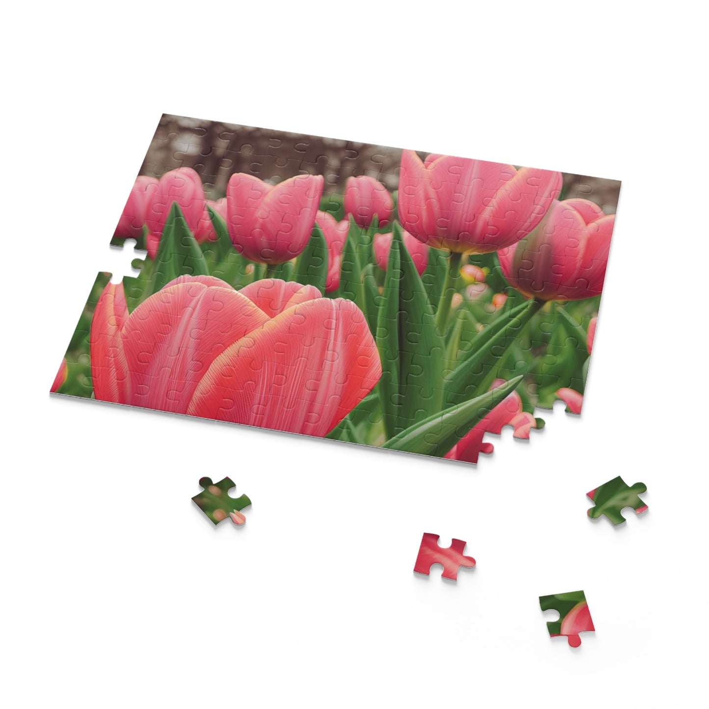 Tulips Puzzle (SP Photography Collection) (120, 252, 500-Piece)